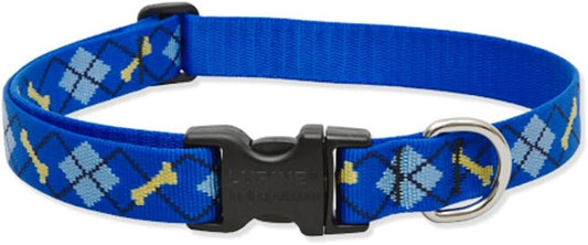 Lupine Combo Collar Dapper Dog - 1" x 15-22"