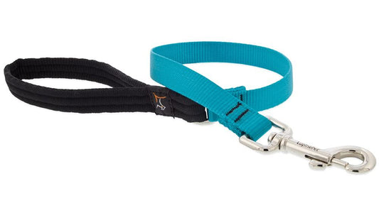 Lupine Leash Aqua 2ft