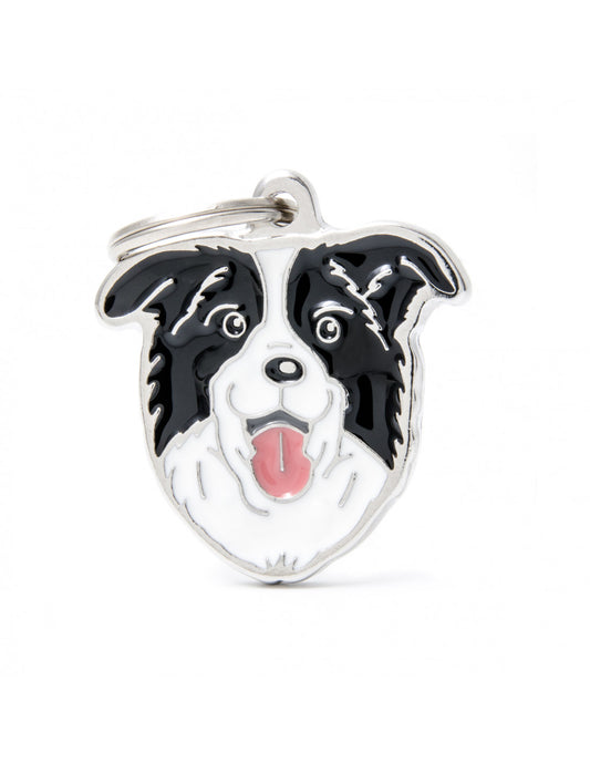 MY FAMILY - Border Collie