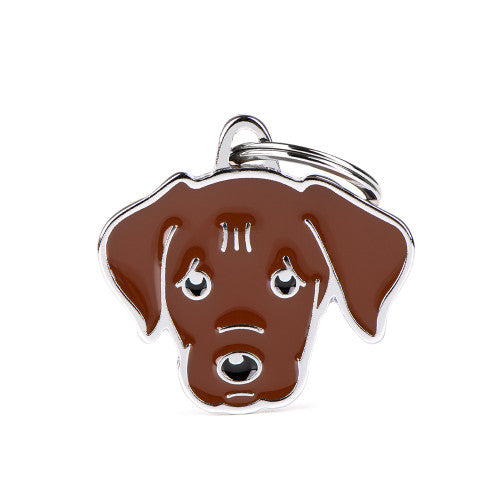 MY FAMILY - Chocolate Labrador