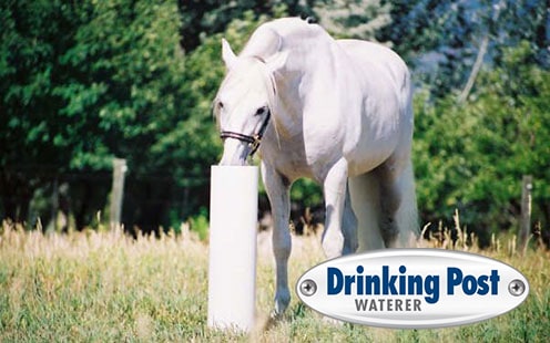 Drinking Post for Horses 8ft