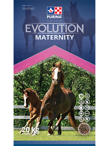 Purina Evolution Maternity 20kg