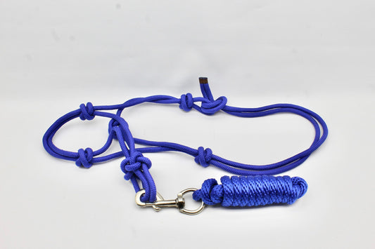 Rope HALTER with lead and Easy on Clip - Royal Blue